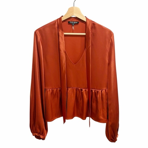 David Lerner Tops - David Lerner Burnt Orange Satin Bow Blouse Ruffle Hem Top size XS